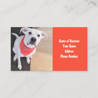 Cute White Puppy Dog Wearing Scarf Orange Business Card