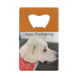 Cute White Puppy Dog Wearing Scarf Thanksgiving