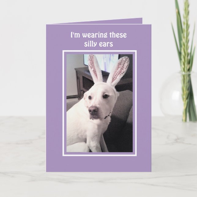 Cute White Puppy Dog With Easter Bunny Ears Purple Holiday Card (Front)