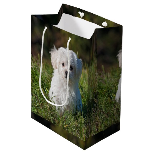 Cute white puppy medium gift bag (Front Angled)
