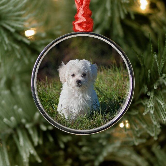 Cute white puppy metal tree decoration (Tree)