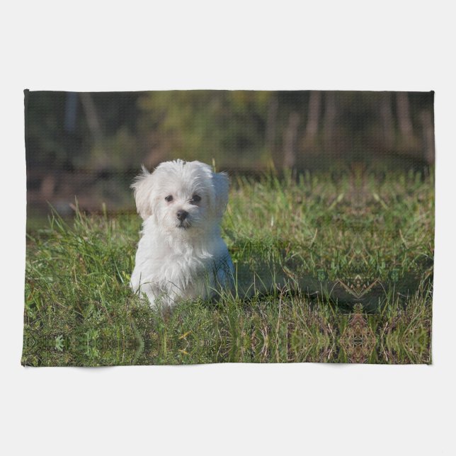 Cute white puppy tea towel (Horizontal)