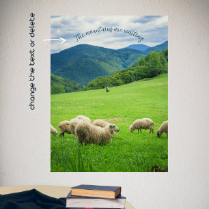 Cute white sheep in a meadow under the mountain p poster