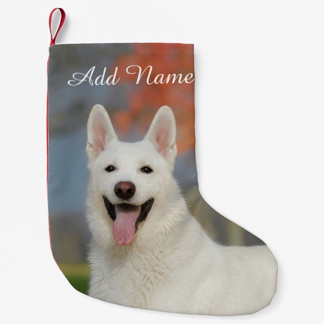 Cute White Swiss Shepherd Dog Photo - Name Small Christmas Stocking (Front)