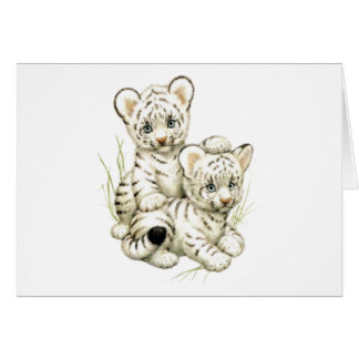 Cute White Tiger Cubs