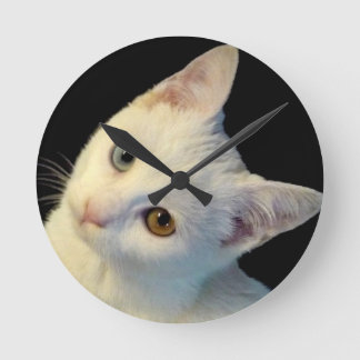 Cute White Turkish Van Kitten Clock
