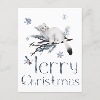 Cute White Weasel Animal On A Pine Tree Postcard