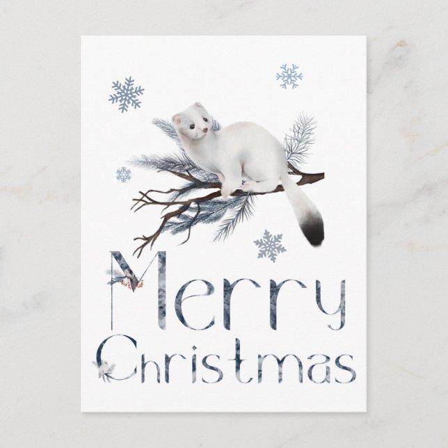 Cute White Weasel Animal On A Pine Tree Postcard (Front)