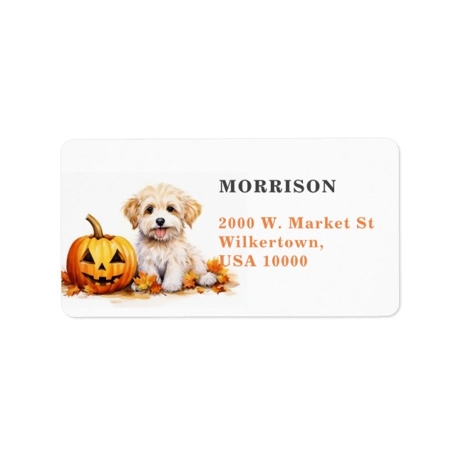 Cute White Yorkie Dog with Pumpkin Label (Front)