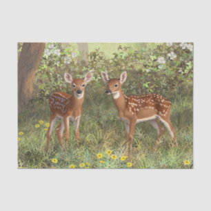 Cute Whitetail Deer Twin Fawns Tissue Paper