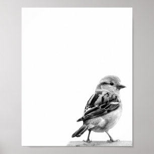 Cute Wild Bird Photo Poster