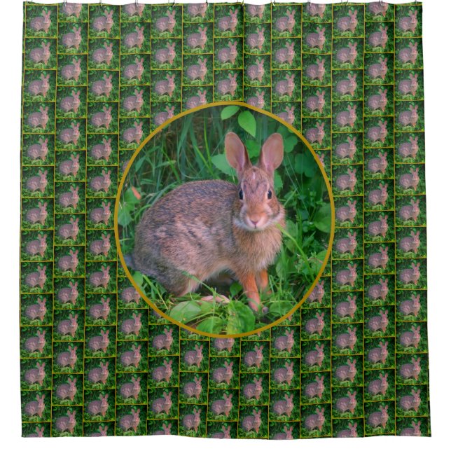 Cute Wild Brown Rabbit Wildlife Shower Curtain (Front)
