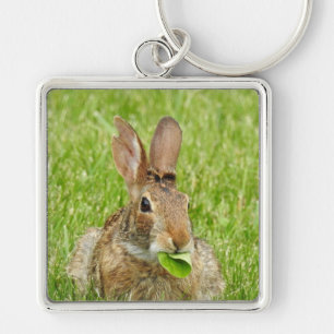 Cute Wild Bunny Rabbit Eating Key Ring