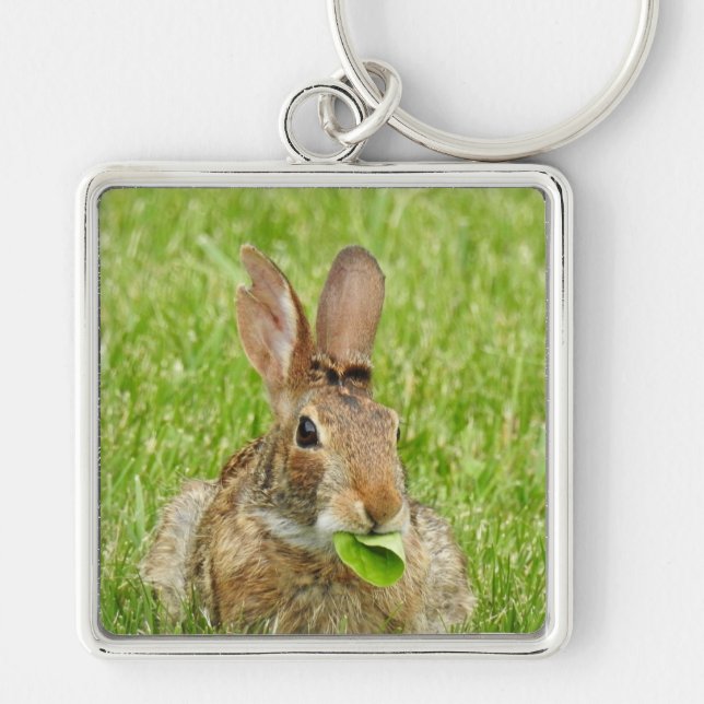 Cute Wild Bunny Rabbit Eating Key Ring (Front)