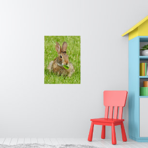 Cute Wild bunny Rabbit Eating Poster