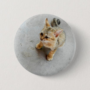 Cute wild cat kitten 6 cm round badge