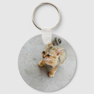Cute wild cat kitten key ring