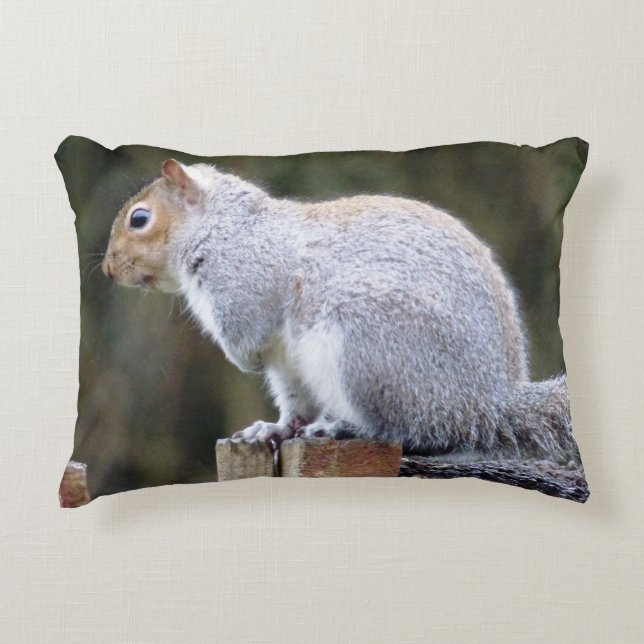 Cute Wild Grey Squirrel  Decorative Cushion (Front)