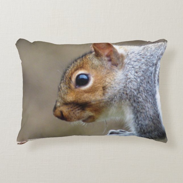 Cute Wild Grey Squirrel  Decorative Cushion (Front)