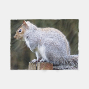 Cute Wild Grey Squirrel (UK ) Fleece Blanket
