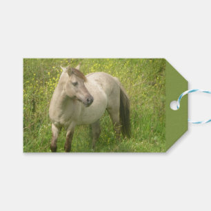 Cute Wild Horse Cust. Text Gift Tag