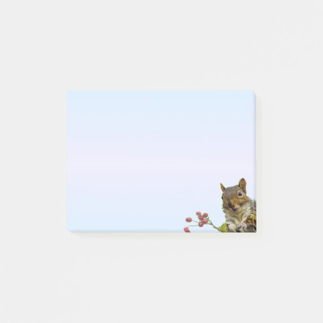 Cute Wild Squirrel on Light Blue Gradient Post-it Notes (Front)