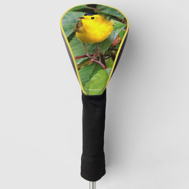 Cute Wilson's Warbler Songbird in the Cherry Tree Golf Head Cover (Front)