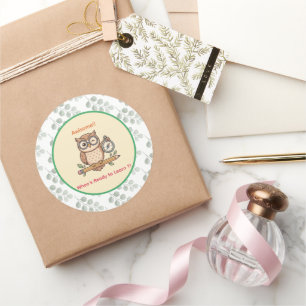 Cute Winking Owl Back to School Toon Illustration Classic Round Sticker