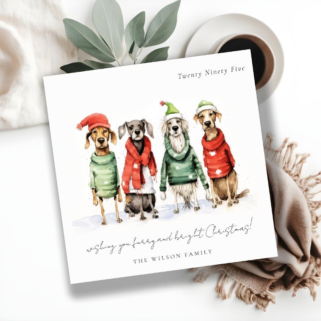 Cute Winter Dogs Sweater Furry & Bright Christmas  Holiday Card (Creator Uploaded)