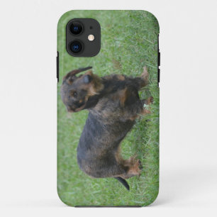 Cute Wire Haired Dachshund Case-Mate iPhone Case