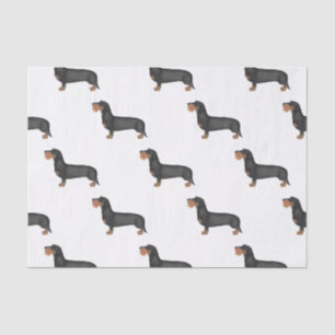 Cute Wire Haired Dachshund Sausage Dog Tissue Paper