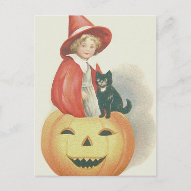 Cute Witch Black Cat Jack O Lantern Postcard (Front)