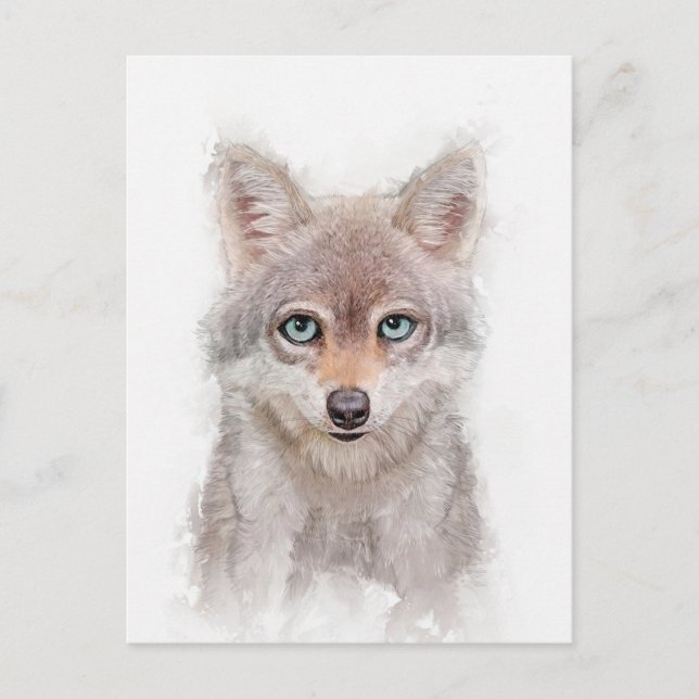 Cute Wolf Cub Portrait Postcard (Front)