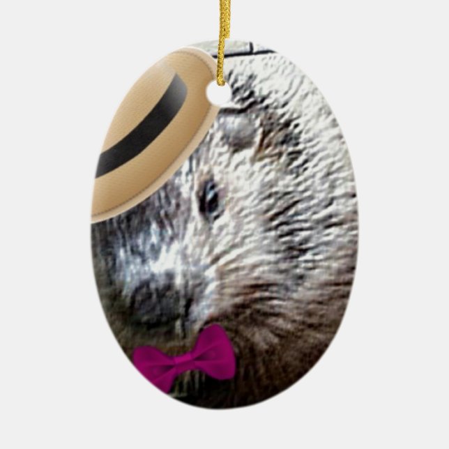 Cute Woodchuck Cartoon! Ceramic Tree Decoration (Front)