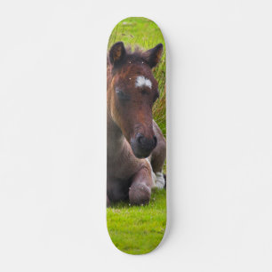 Cute Yearling Foal skateboard deck