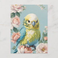Cute Yellow And Blue Baby Budgie Parakeet Bird