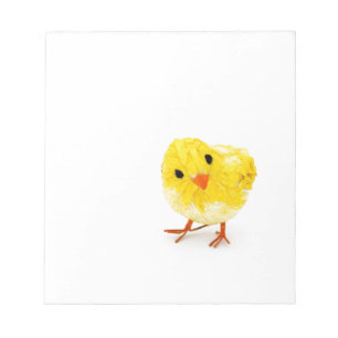 Cute yellow baby chick notepad