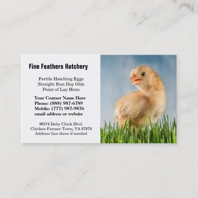 Cute Yellow Baby Chick Photo Business Card (Front)