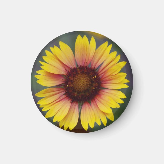 Cute Yellow Daisy Floral Magnet (Front)