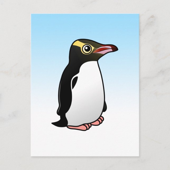 Cute Yellow-eyed Penguin Postcard (Front)