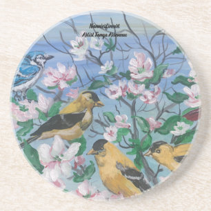 Cute Yellow Finch Bird Watchers Coaster