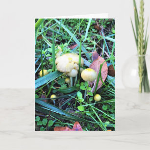 Cute Yellow Mushrooms, Oregon Card
