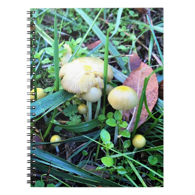 Cute Yellow Mushrooms, Oregon Notebook (Front)