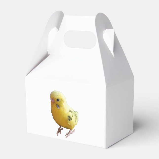 Cute Yellow Parakeet Friendly Pet Bird Photograph Favour Box (Front Side)
