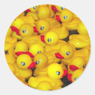 Cute yellow rubber duckies classic round sticker