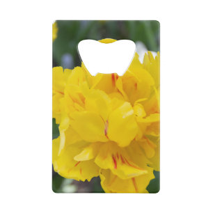 Cute yellow tulips in the garden