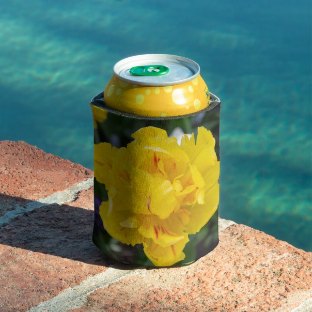 Cute yellow tulips in the garden can cooler (In Situ Pool)