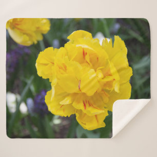 Cute yellow tulips in the garden sherpa blanket