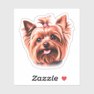 Cute Yorkie
