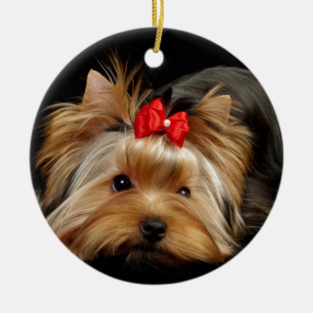 Cute yorkie ceramic tree decoration (Front)